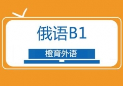 ZB1Ӗ